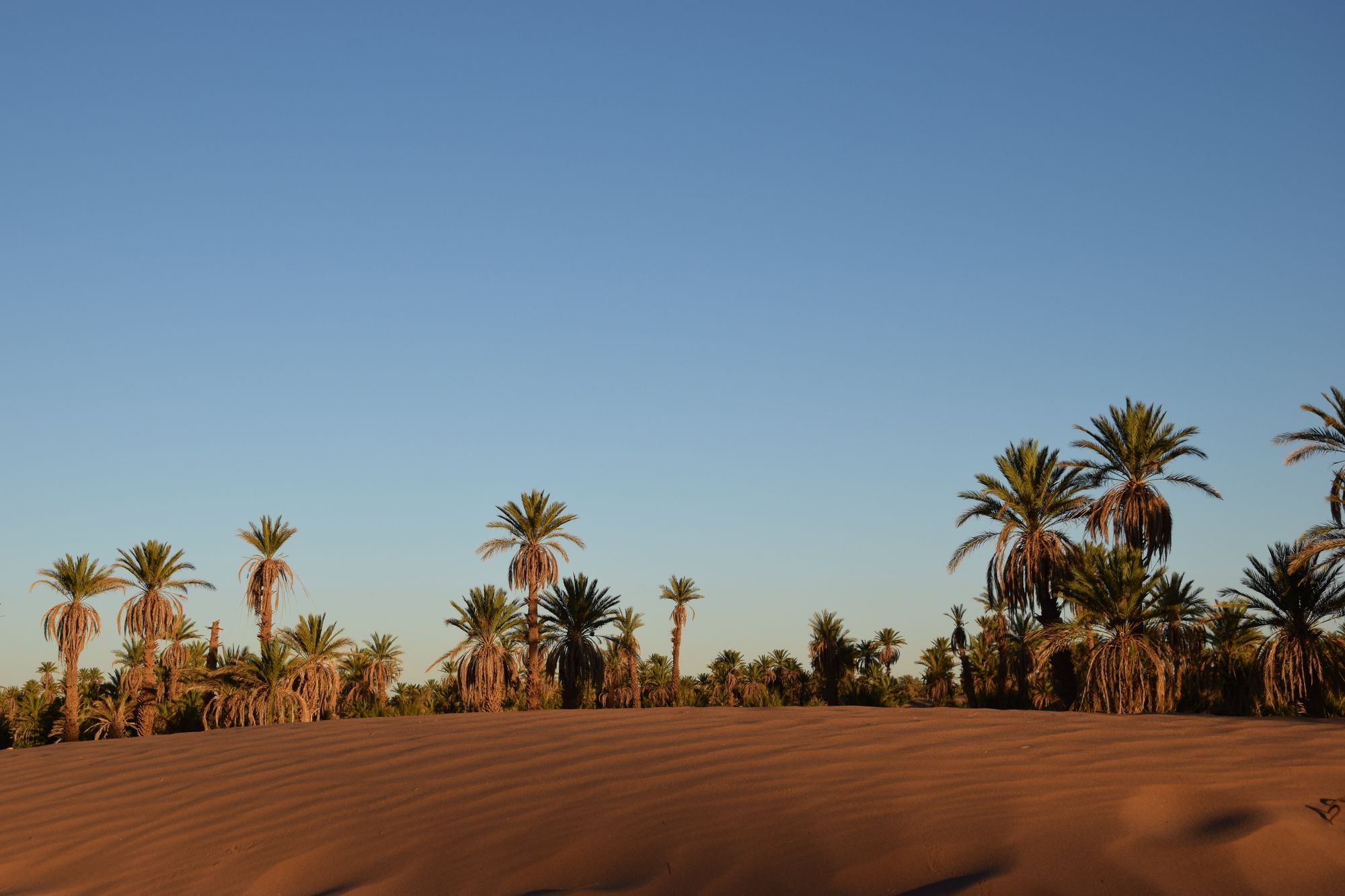 Carrefour Des Nomades Hotel Oulad Driss Exterior foto